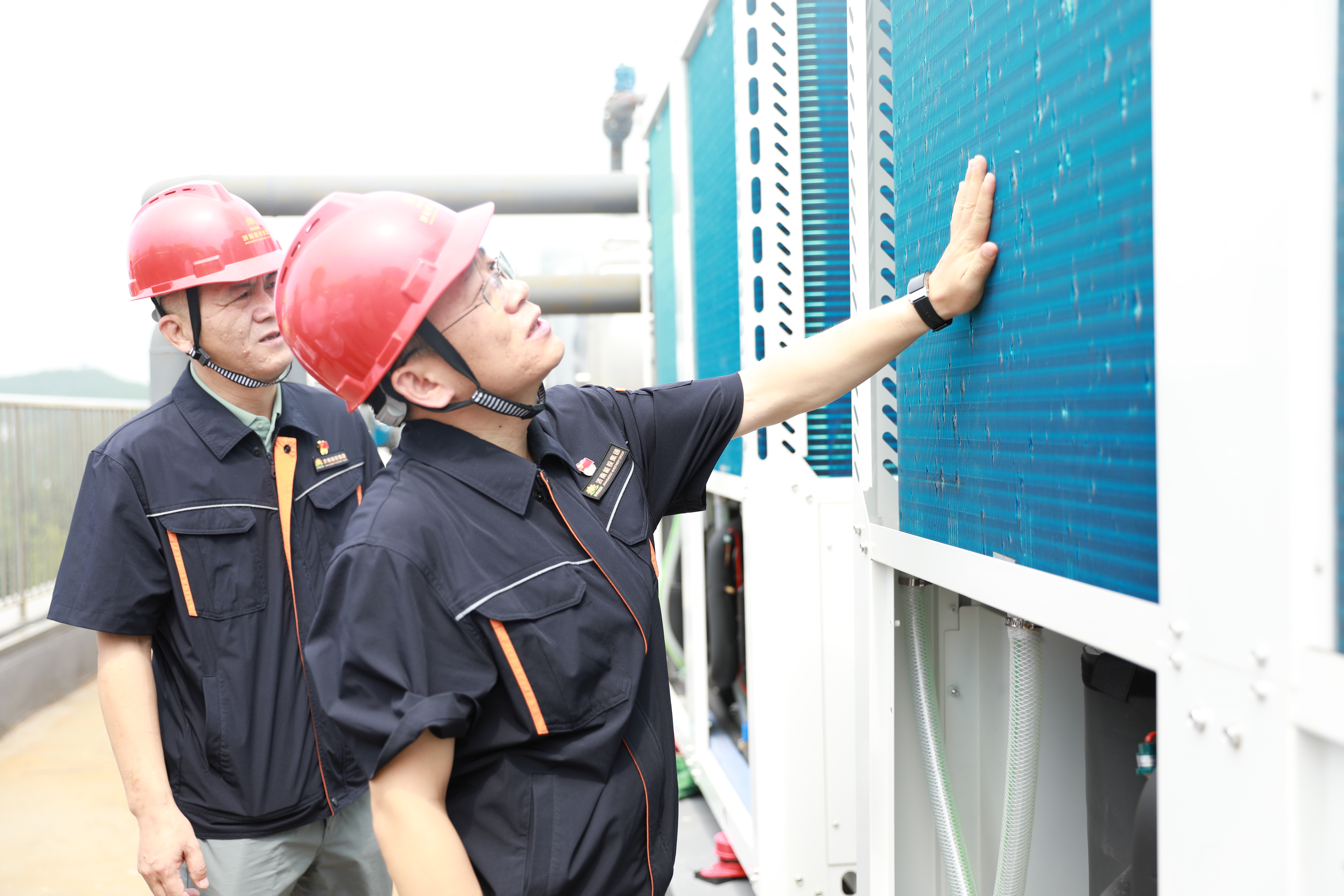 97622��������Ʒ��(�й���)-�ٷ���վ