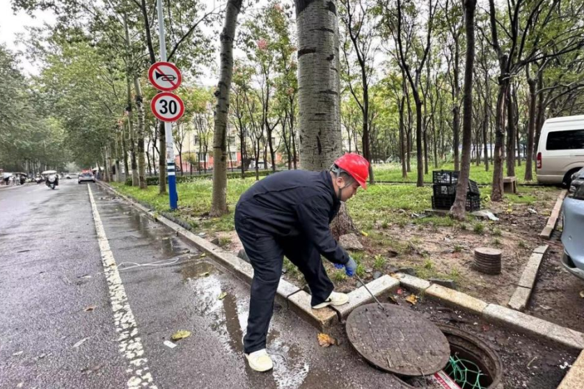 97622��������Ʒ��(�й���)-�ٷ���վ